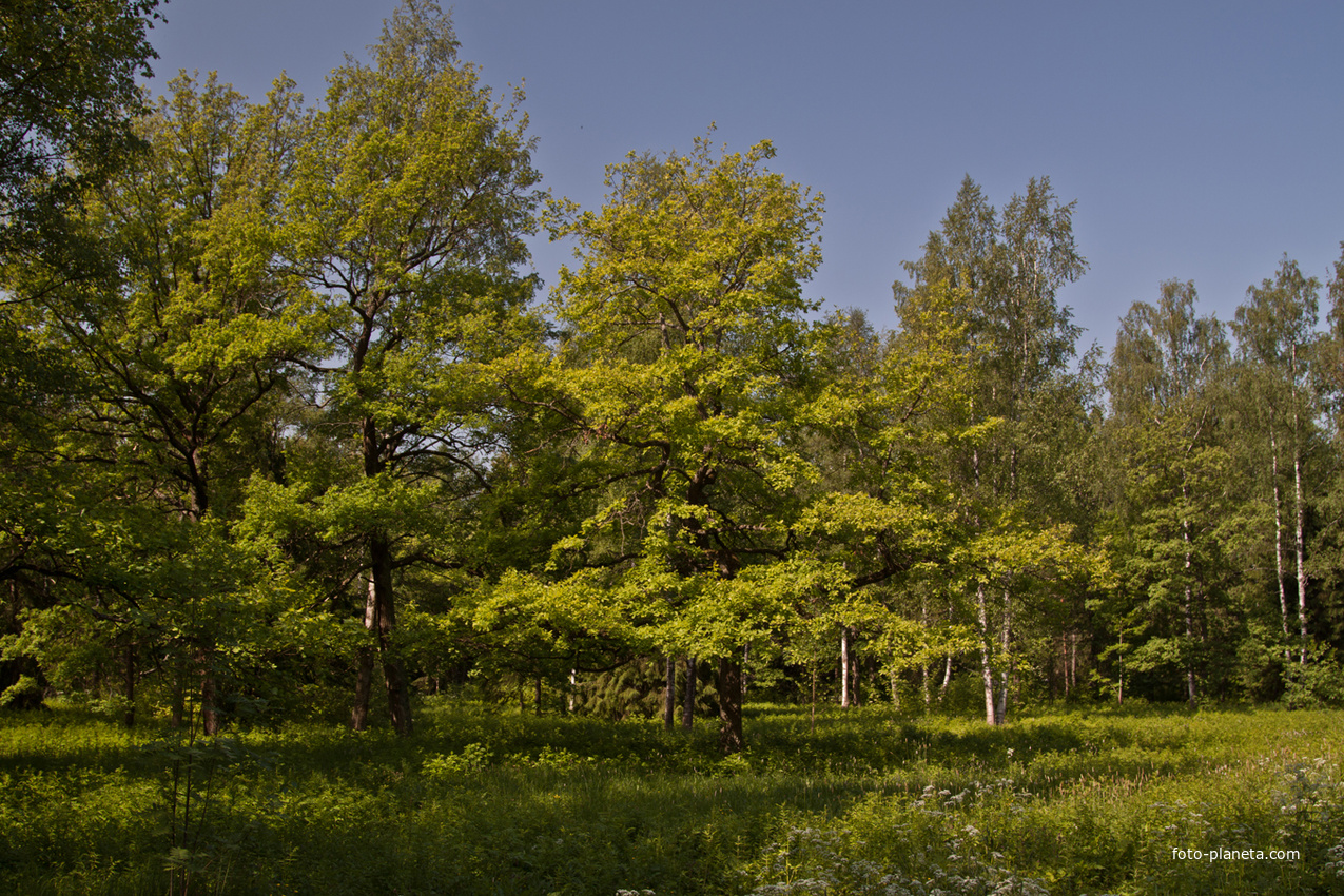 Александровский парк