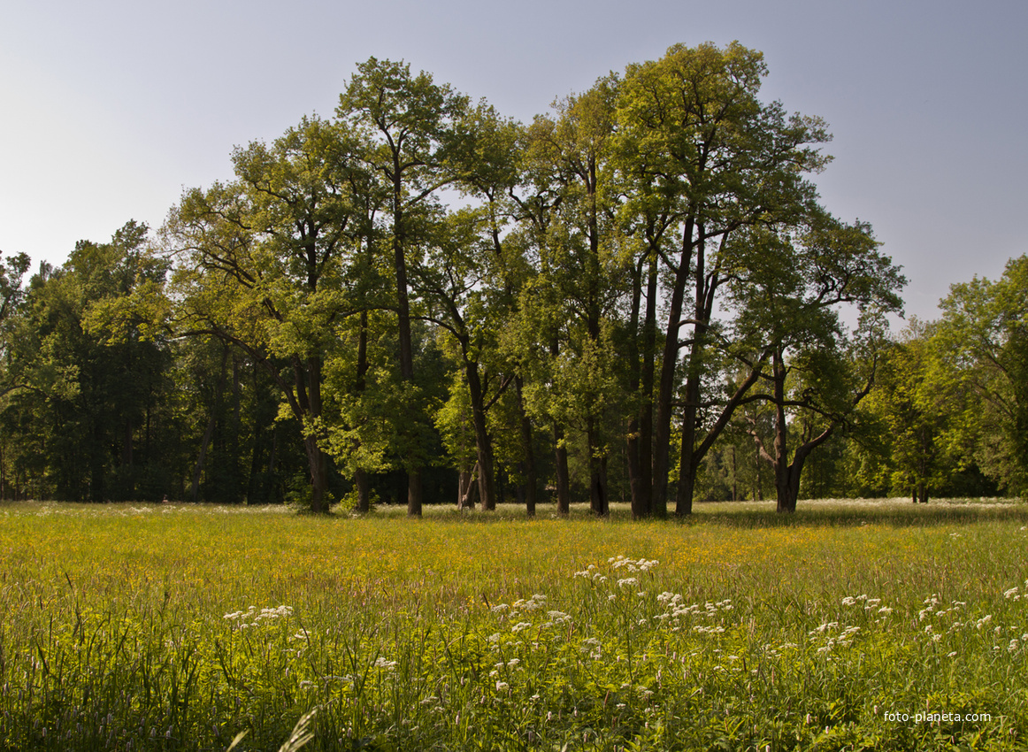 Александровский парк