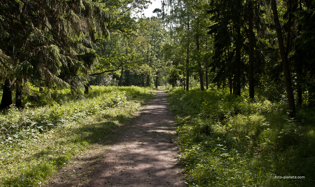 Дорожка в парке