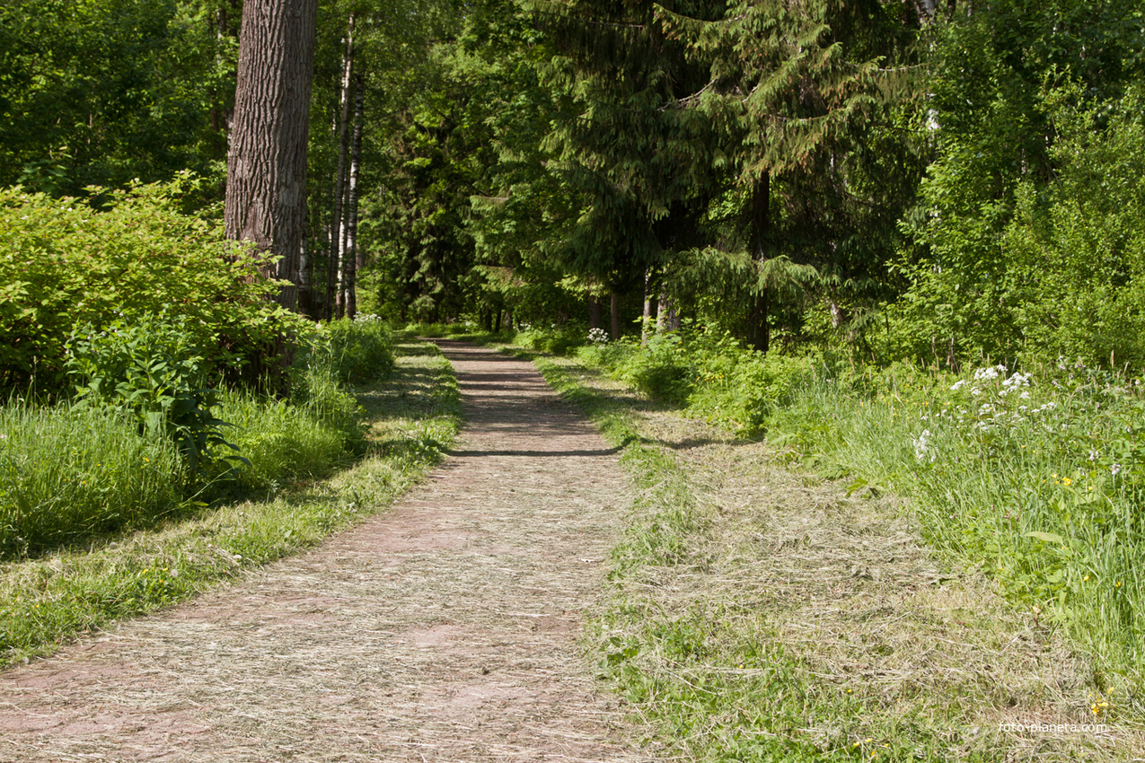Дорожка в парке