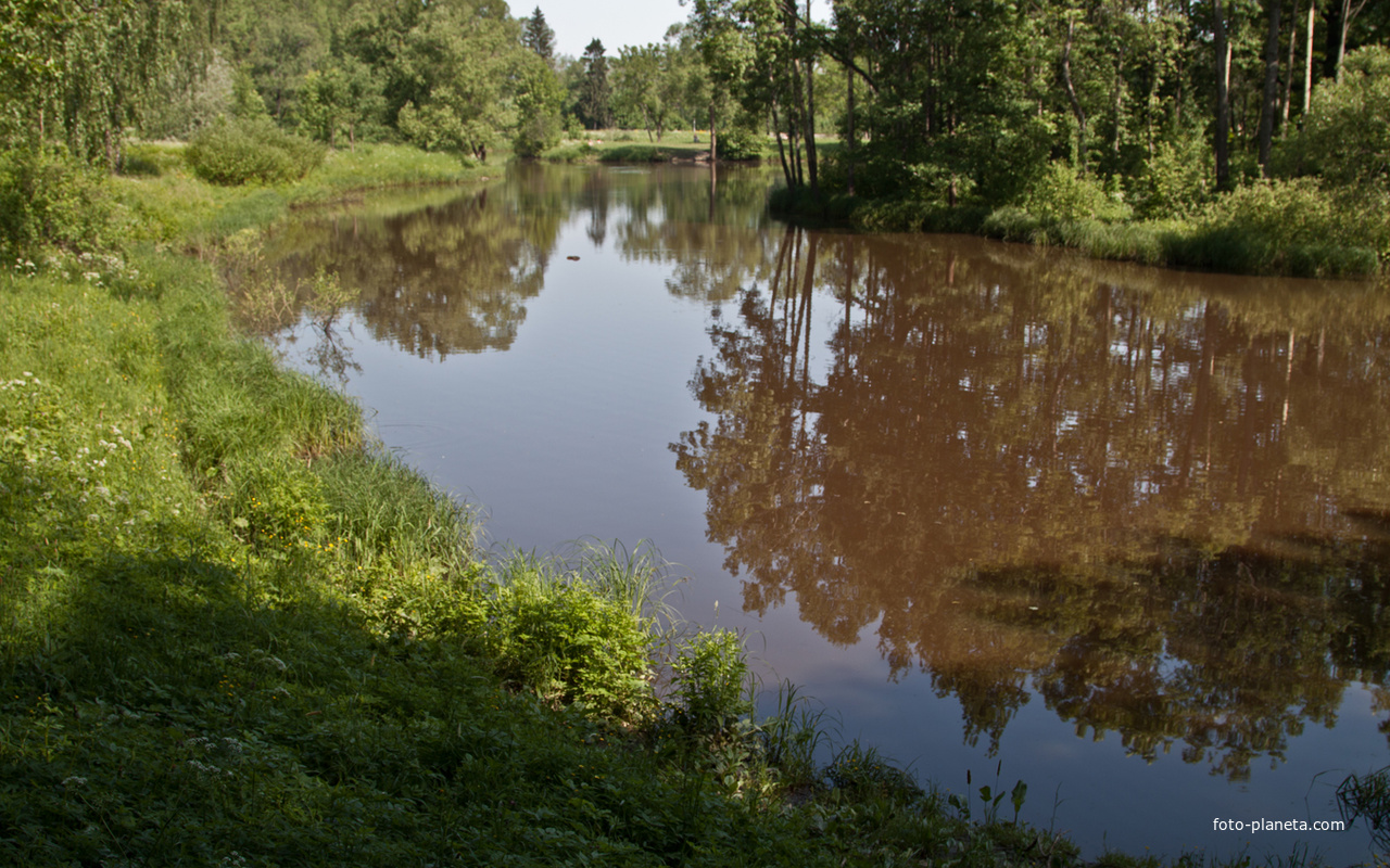 Нижний Ламский пруд