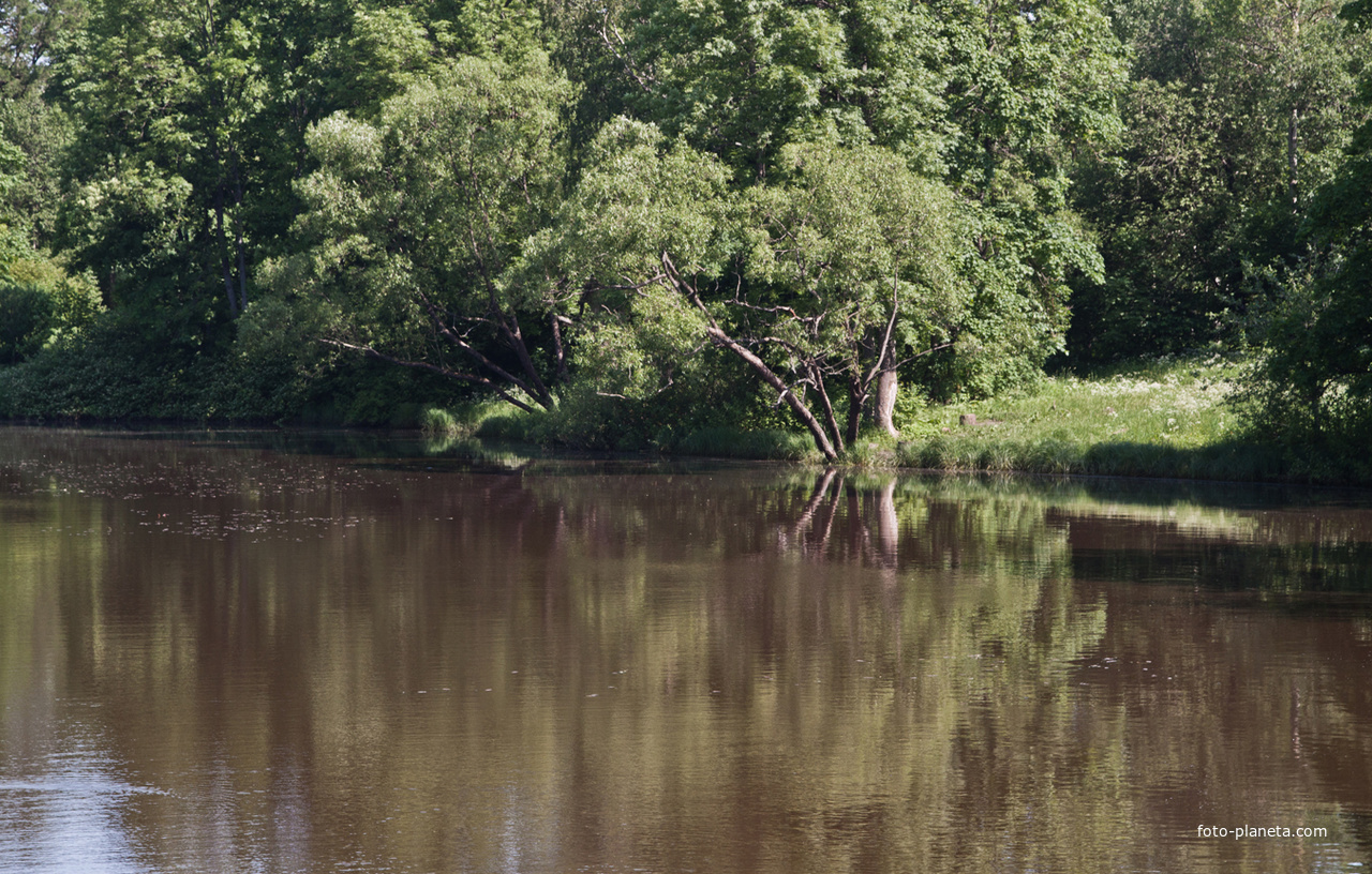 Нижний Ламский пруд