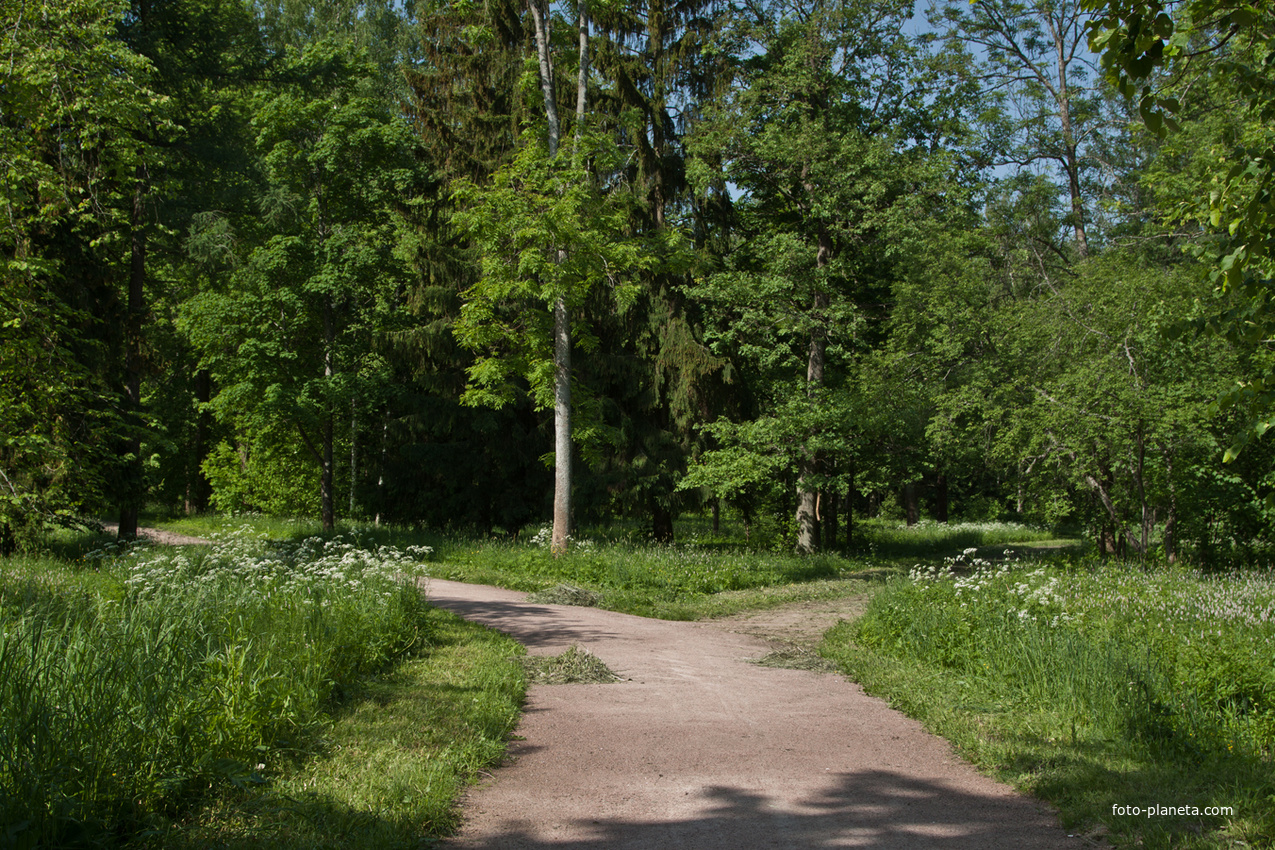 Александровский парк