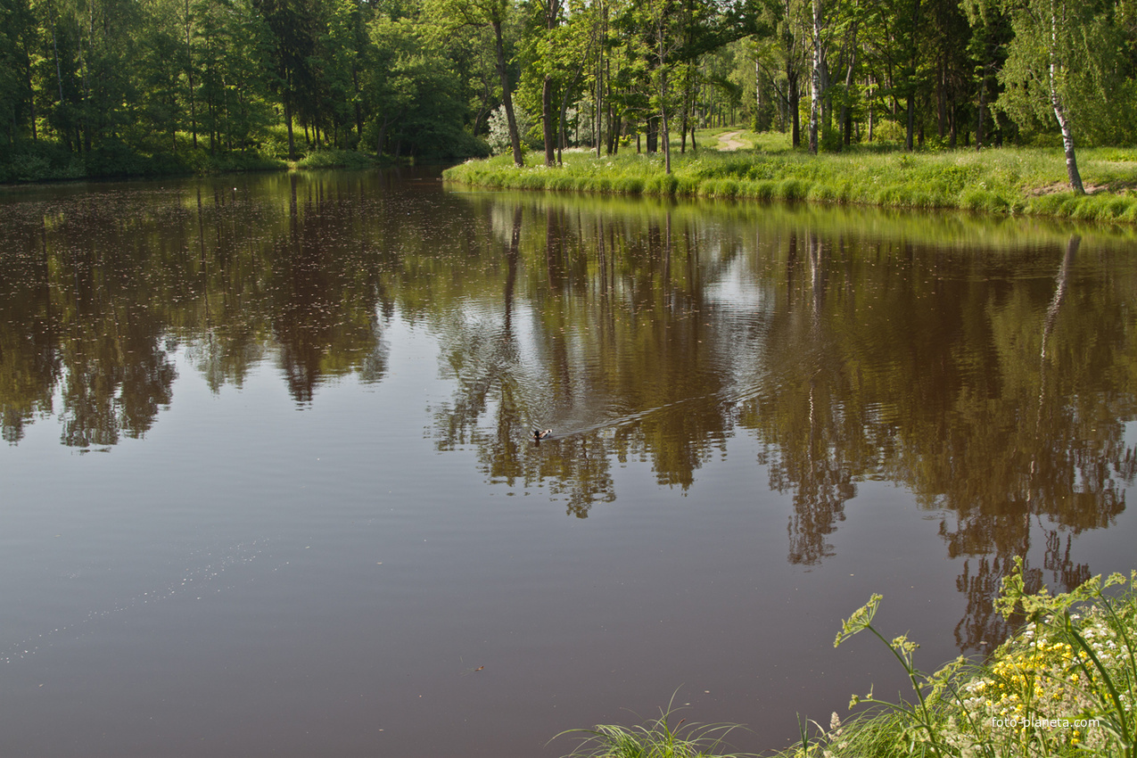 Верхний Ламский пруд