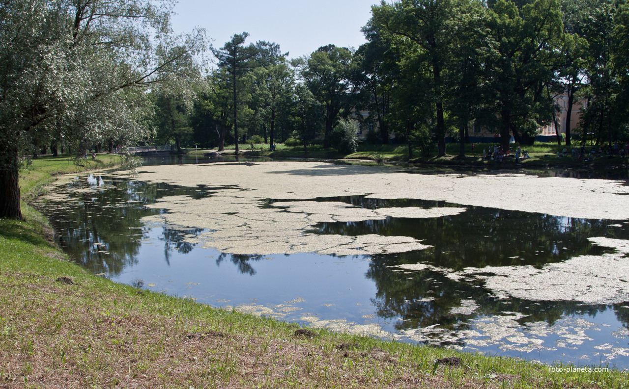 Детский пруд