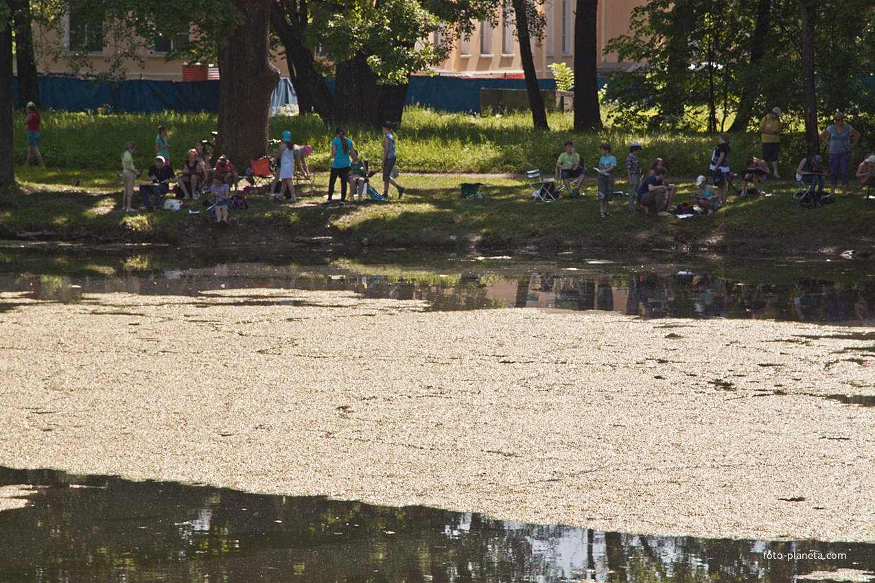 Детский пруд