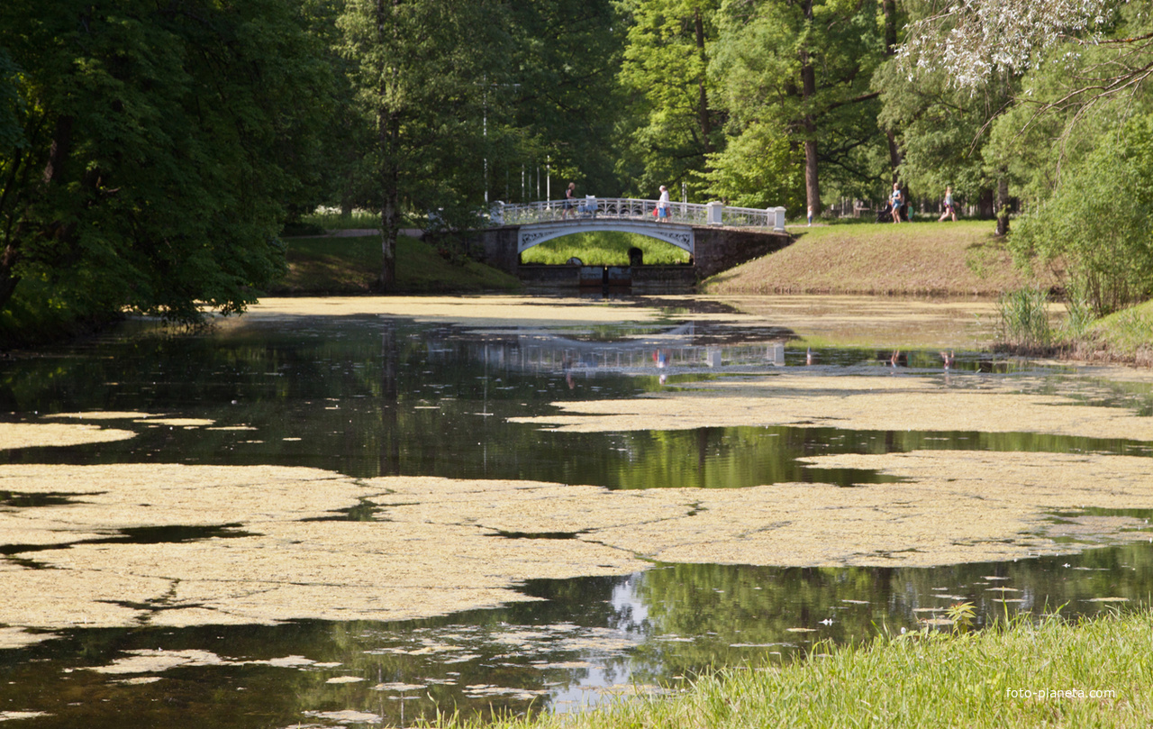Детский пруд