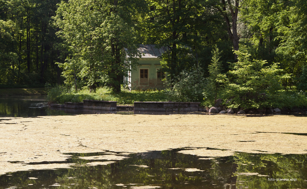 Детский пруд