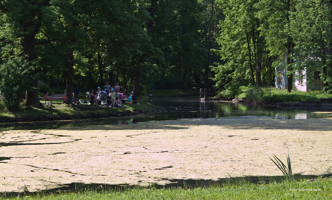 Детский пруд