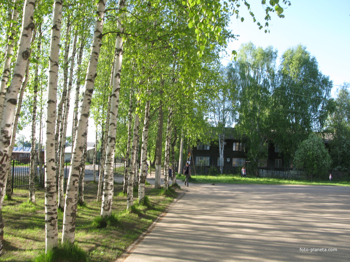 Сыктывкар 2014 - Лесозавод