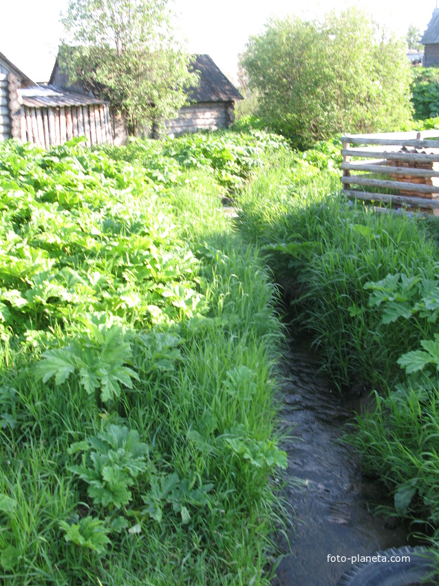 Выльгорт 2014