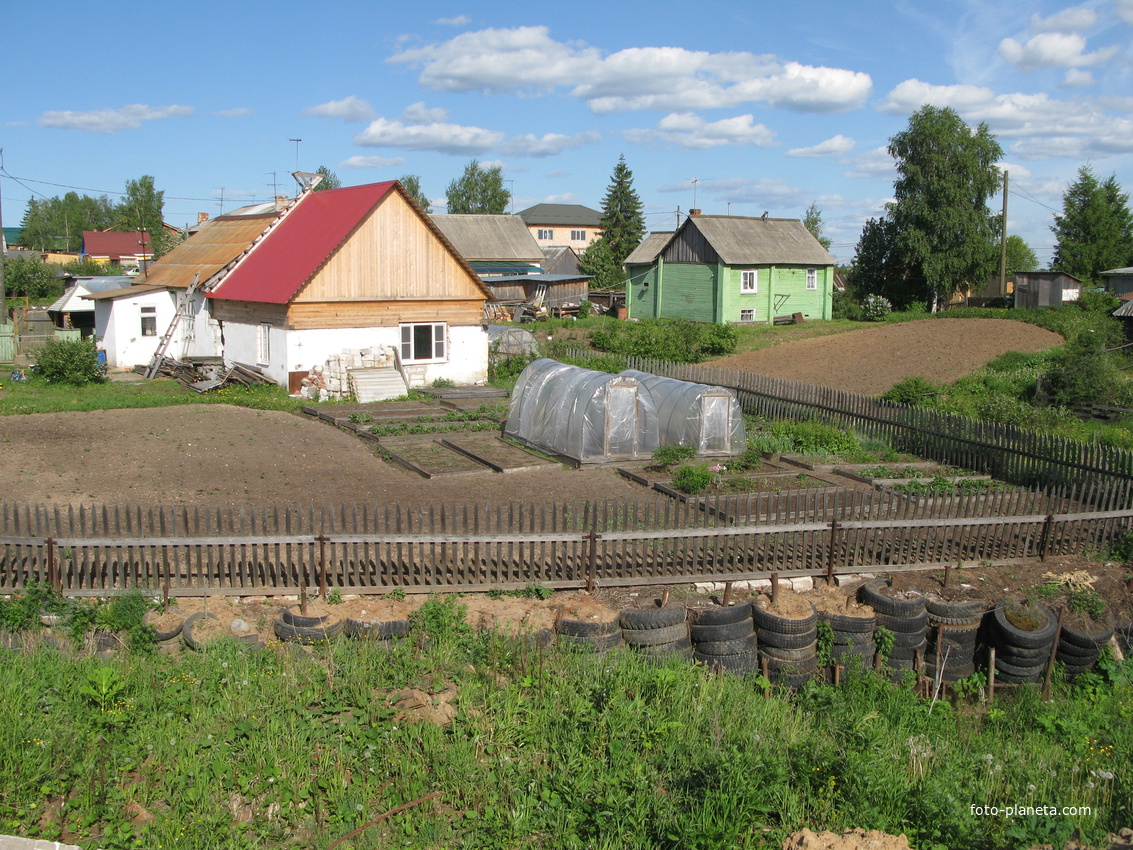 Выльгорт 2014