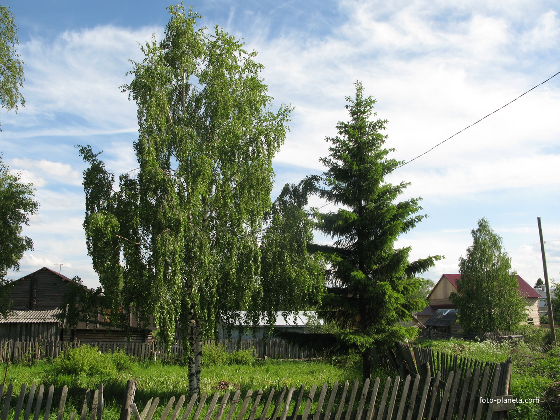 Выльгорт 2014 - ул. Полевая