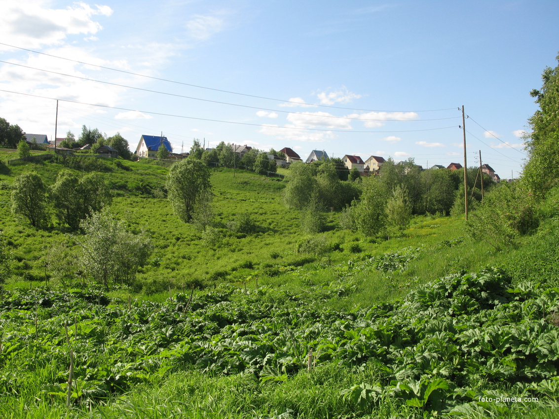 Выльгорт 2014 - ул. Полевая