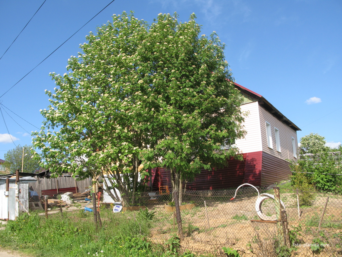 Выльгорт 2014 - ул. Полевая