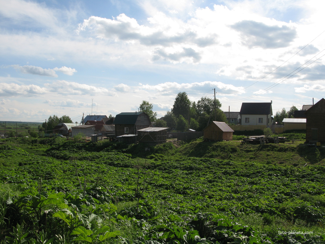 Выльгорт 2014 - с ул. Полевая