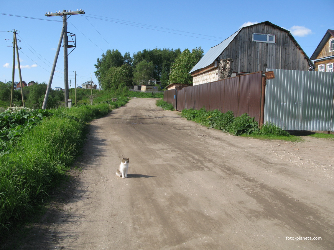 Выльгорт 2014 - ул. Полевая