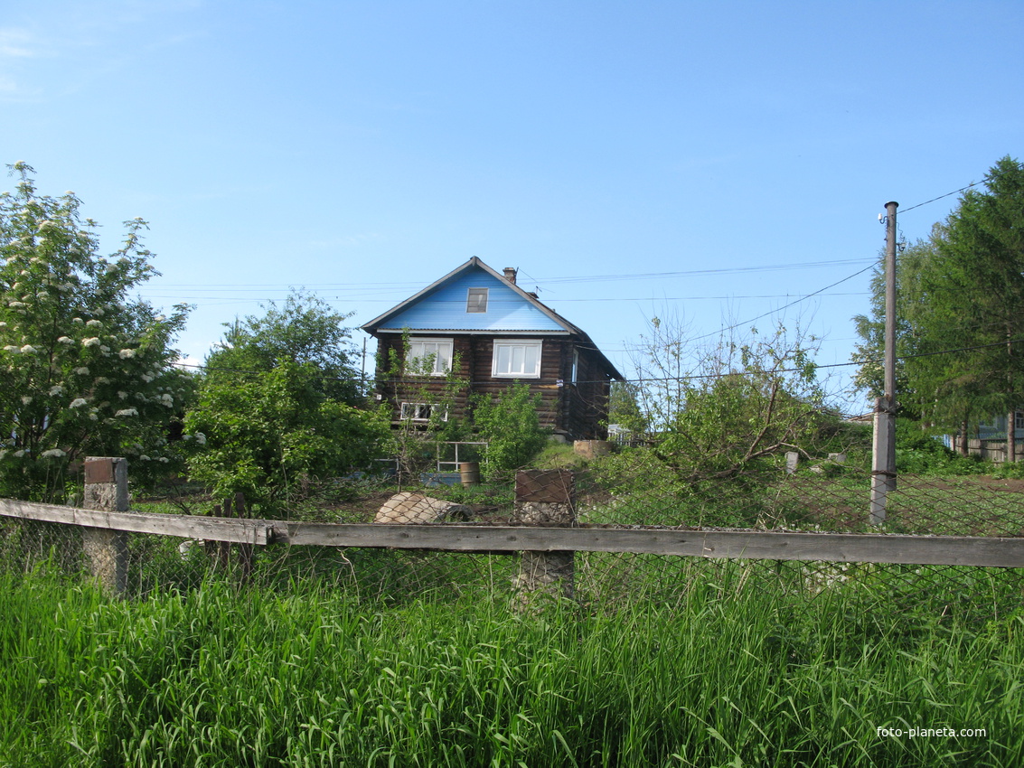 Выльгорт 2014