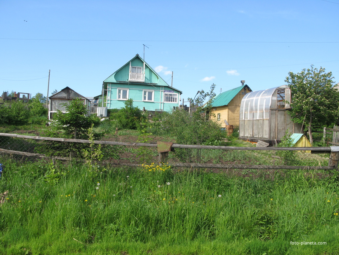 Выльгорт 2014