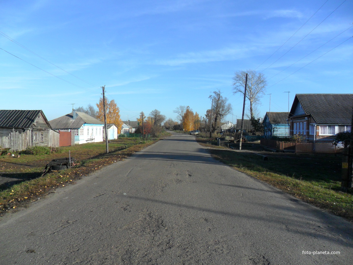 Села березово. Новое Березово Рязанская область. Старое Березово Сасовский район школа. Новоберезово Сасовский район. Старое Березово Сасовский район.