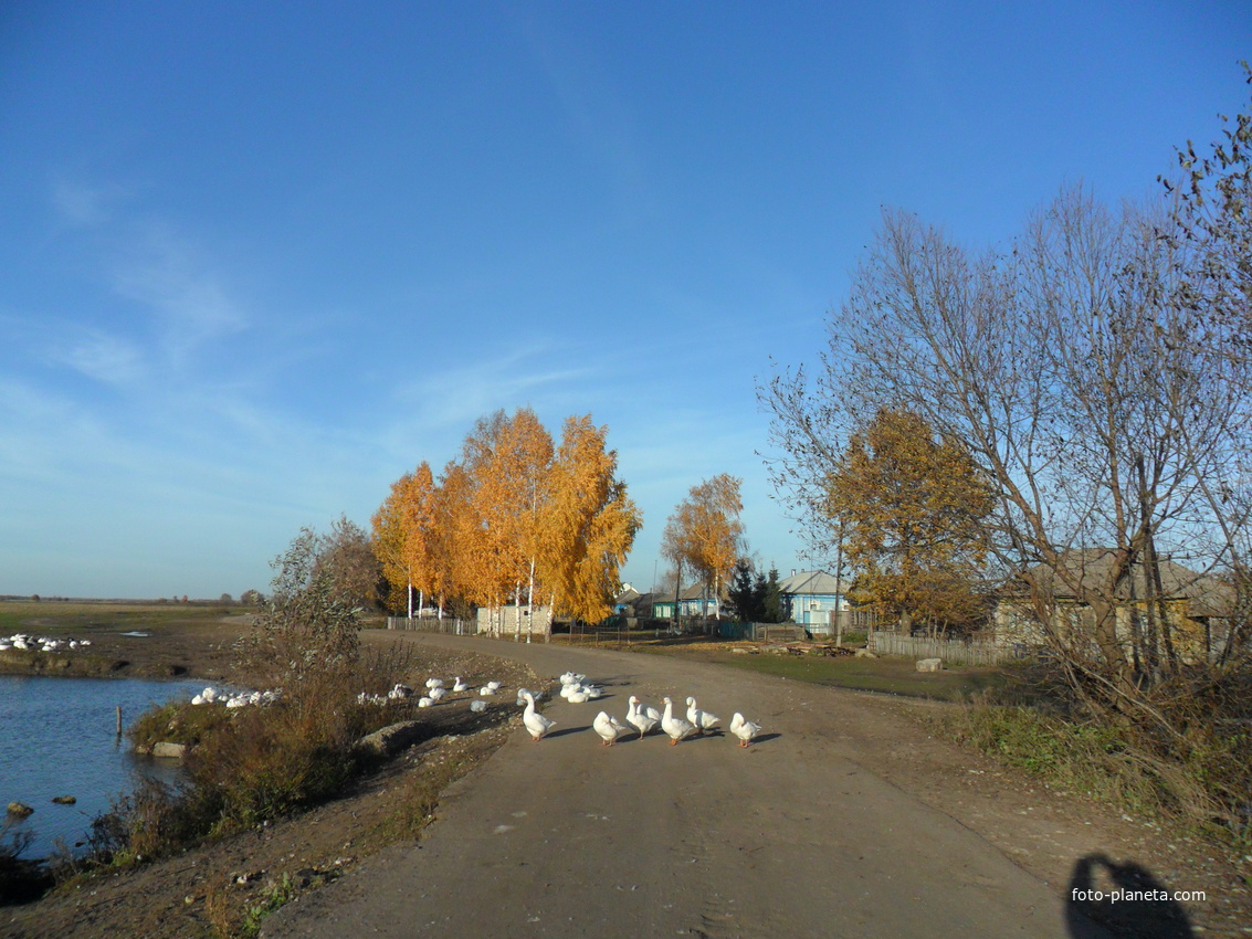 Старое березово сасовский район фото