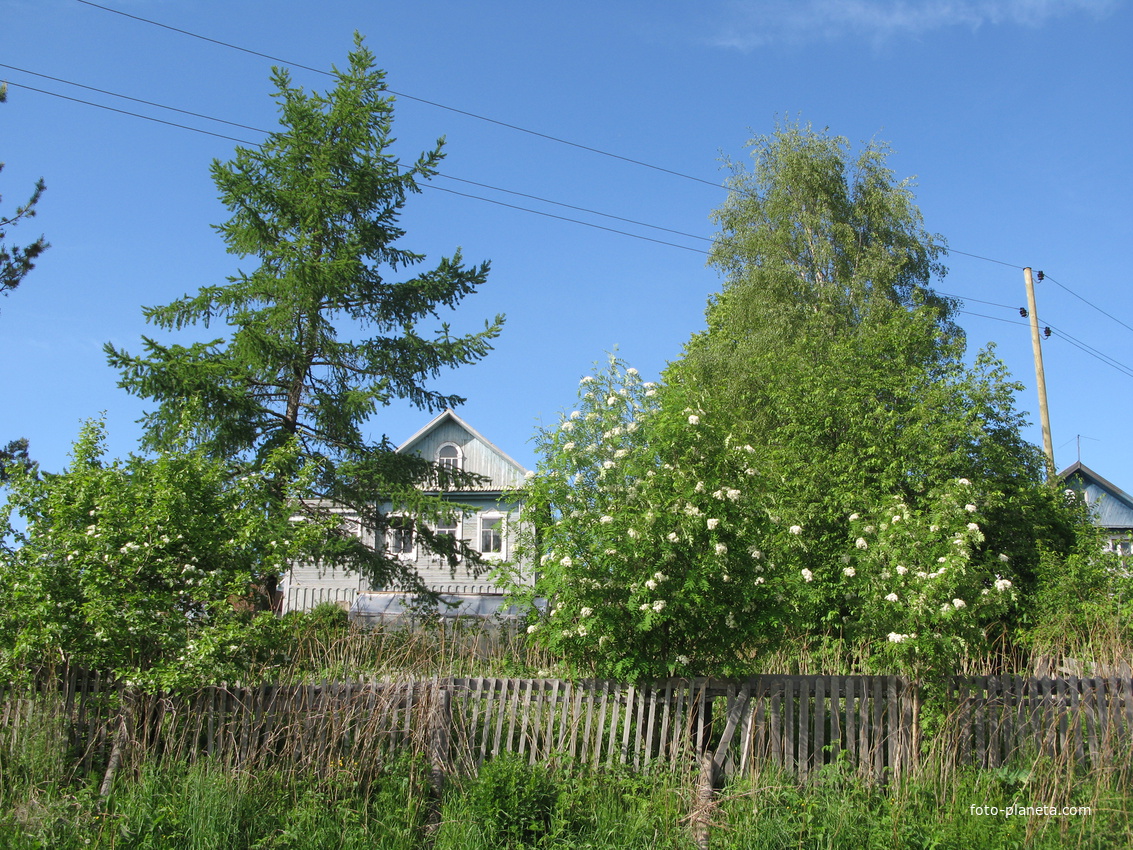 Выльгорт 2014