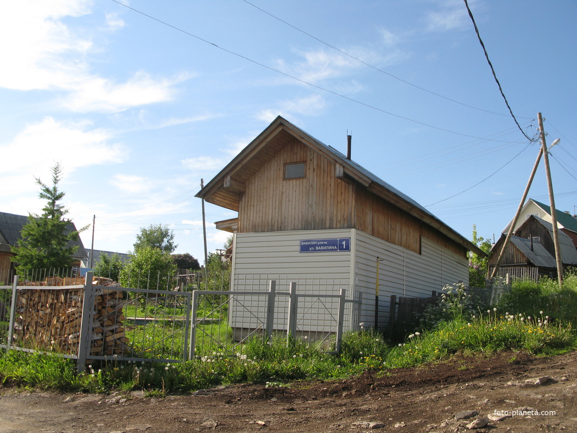 Выльгорт 2014