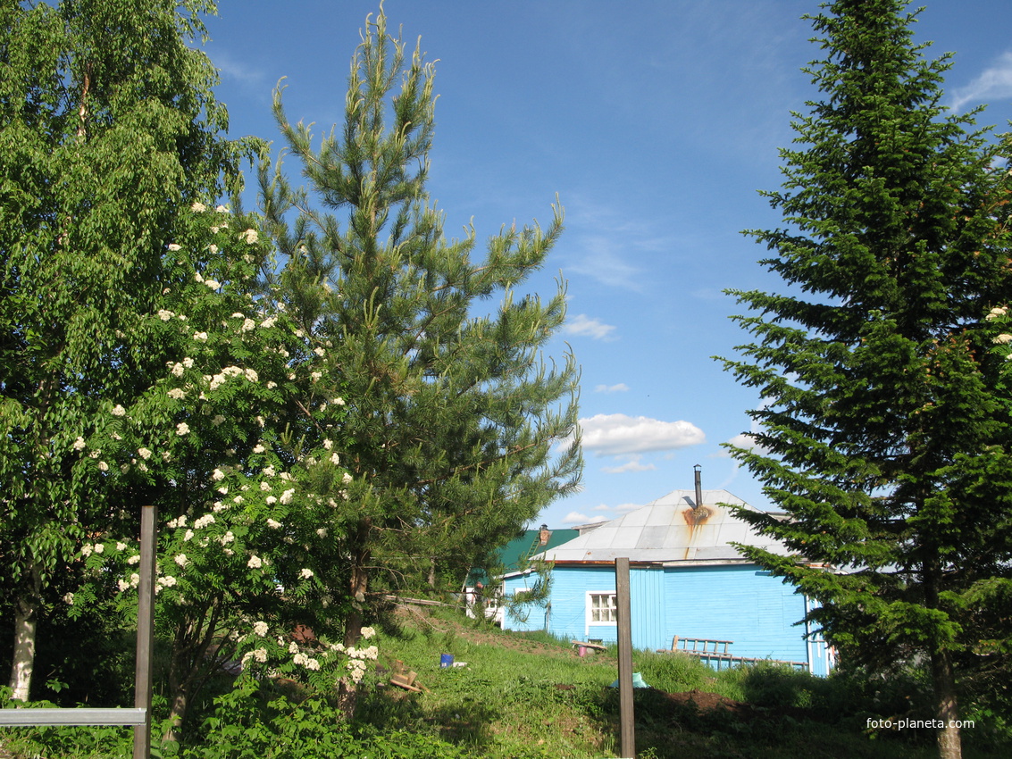 Выльгорт 2014 - c ул. Вавилина