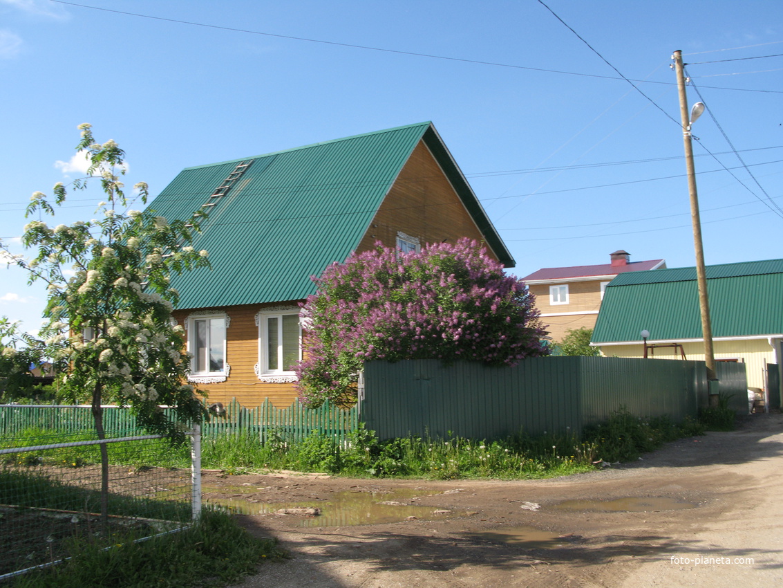 Выльгорт 2014 - ул. Вавилина