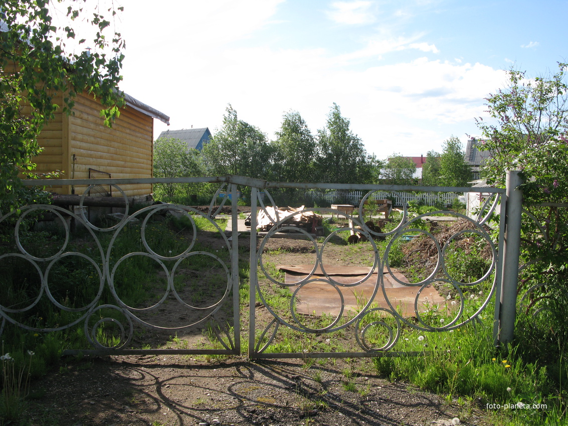 Выльгорт 2014 - ул. Вавилина