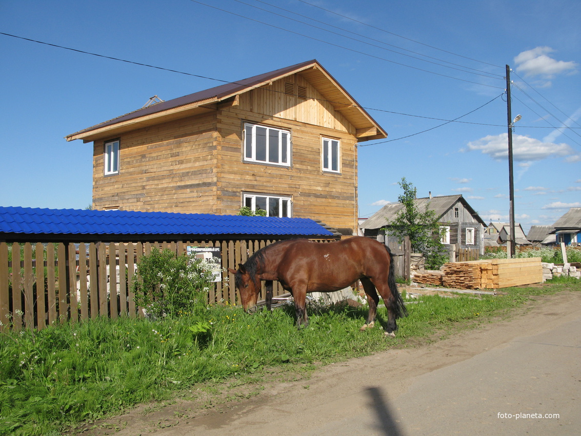 Купить Квартиру В Выльгорте Сыктывдинского Района