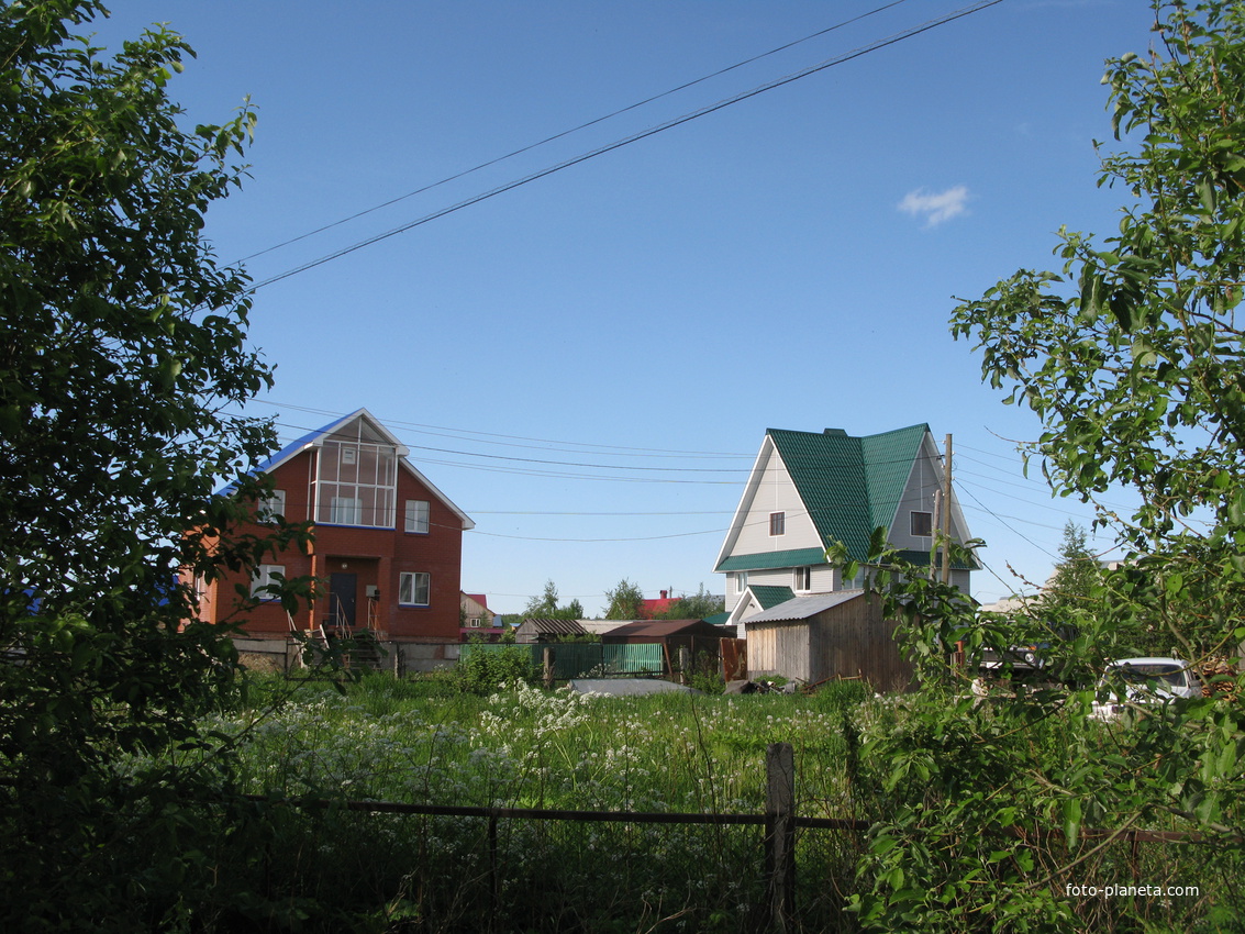 Выльгорт 2014