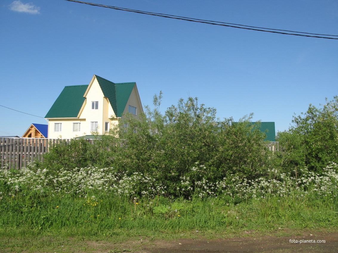 Выльгорт 2014