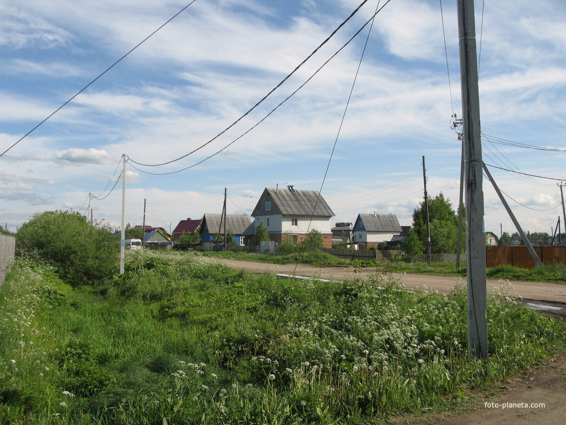 Выльгорт 2014