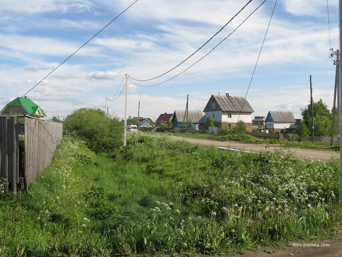 Выльгорт 2014