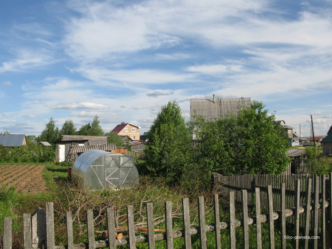 Выльгорт 2014