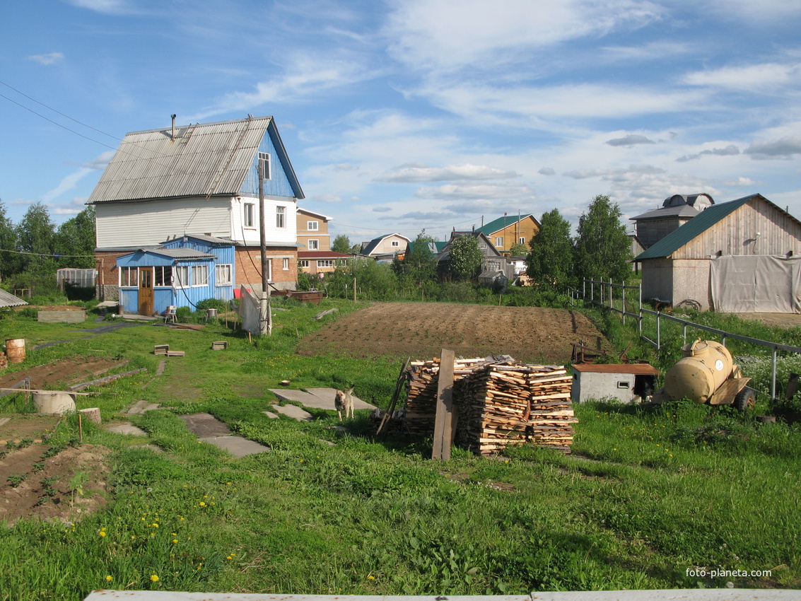 Выльгорт 2014 - ул. Вавилина