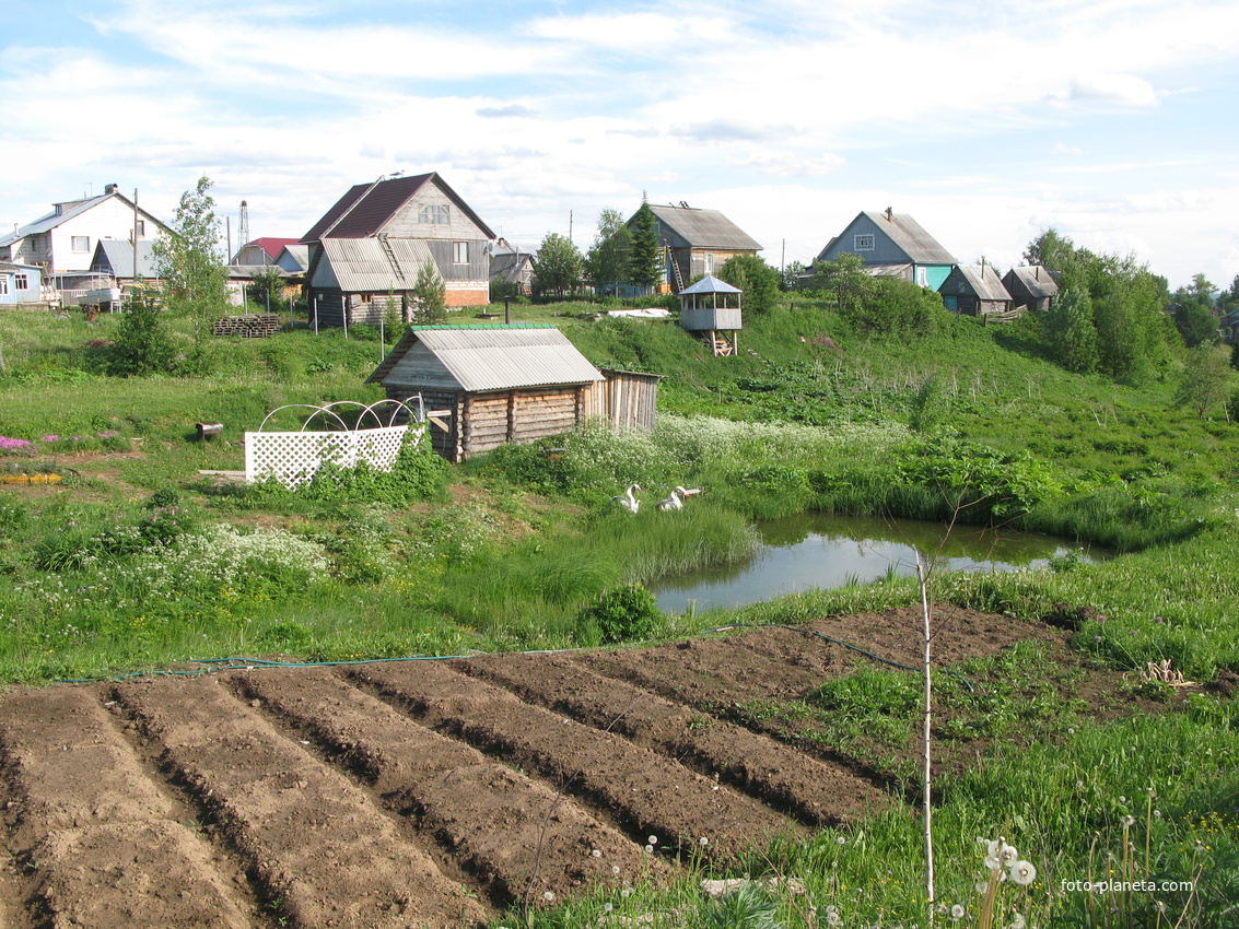 Выльгорт 2014 - ул. Вавилина