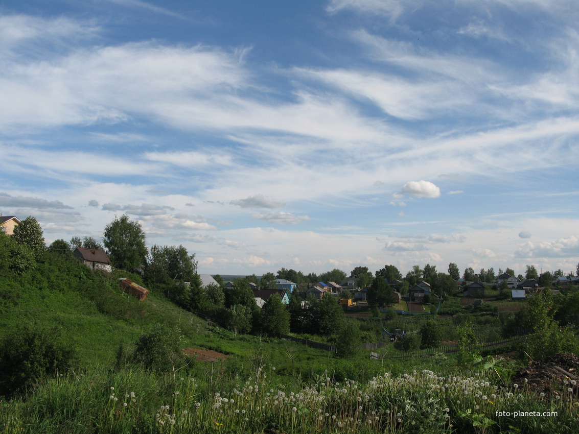 Выльгорт 2014