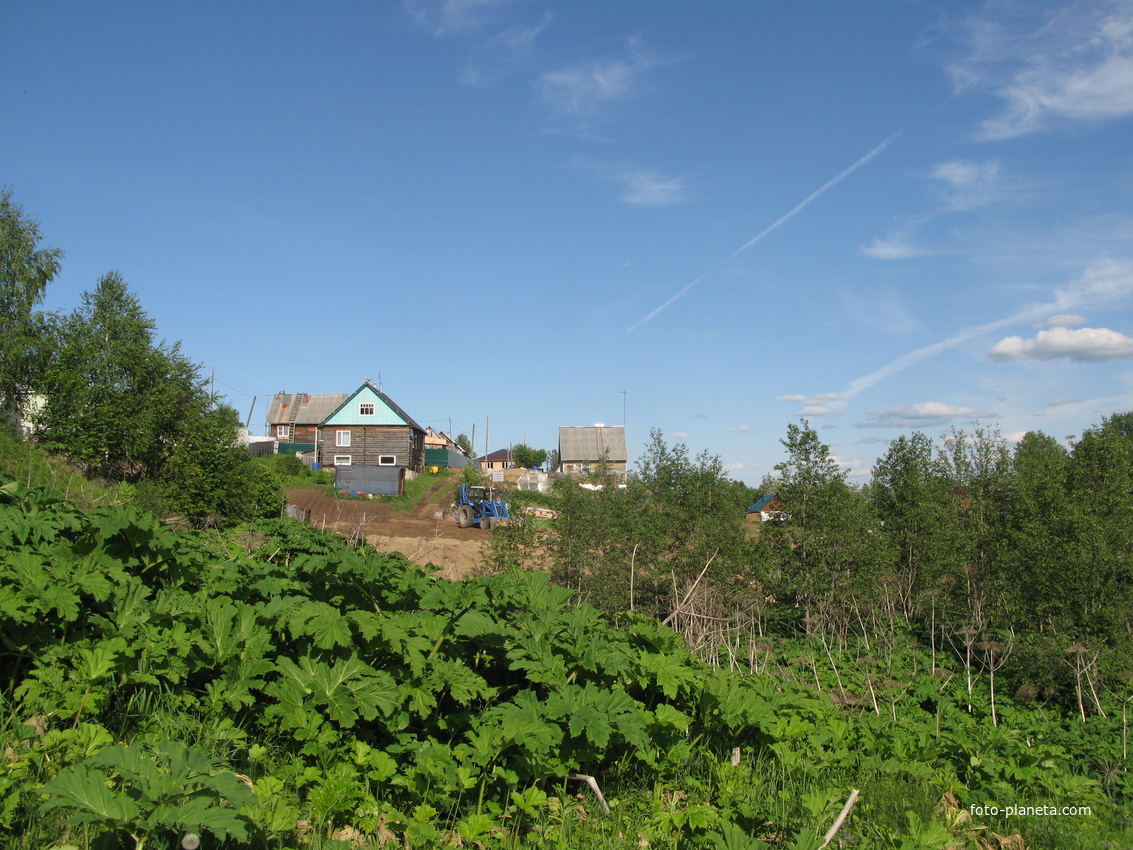 Выльгорт 2014 - ул. Вавилина