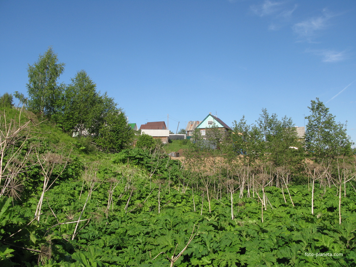 Выльгорт 2014