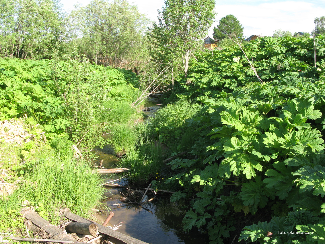 Выльгорт 2014