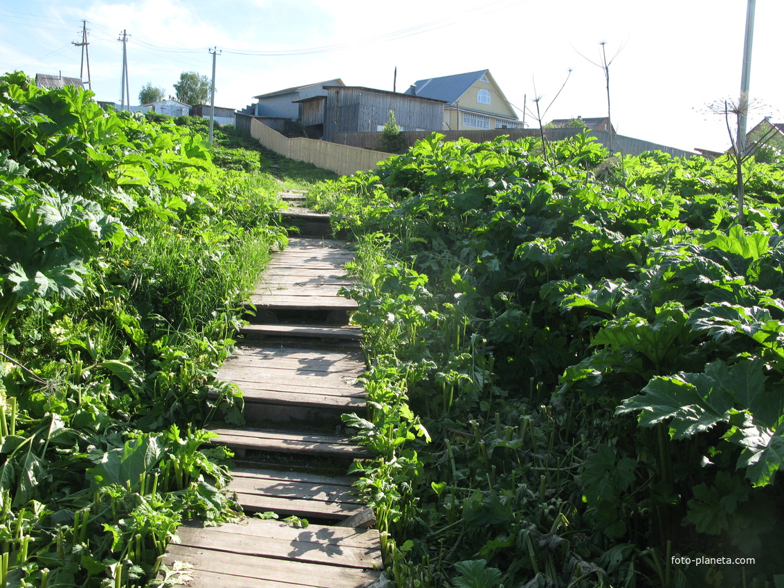 Выльгорт 2014