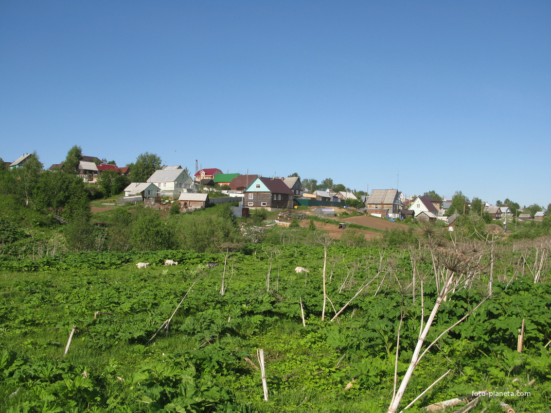 Выльгорт 2014