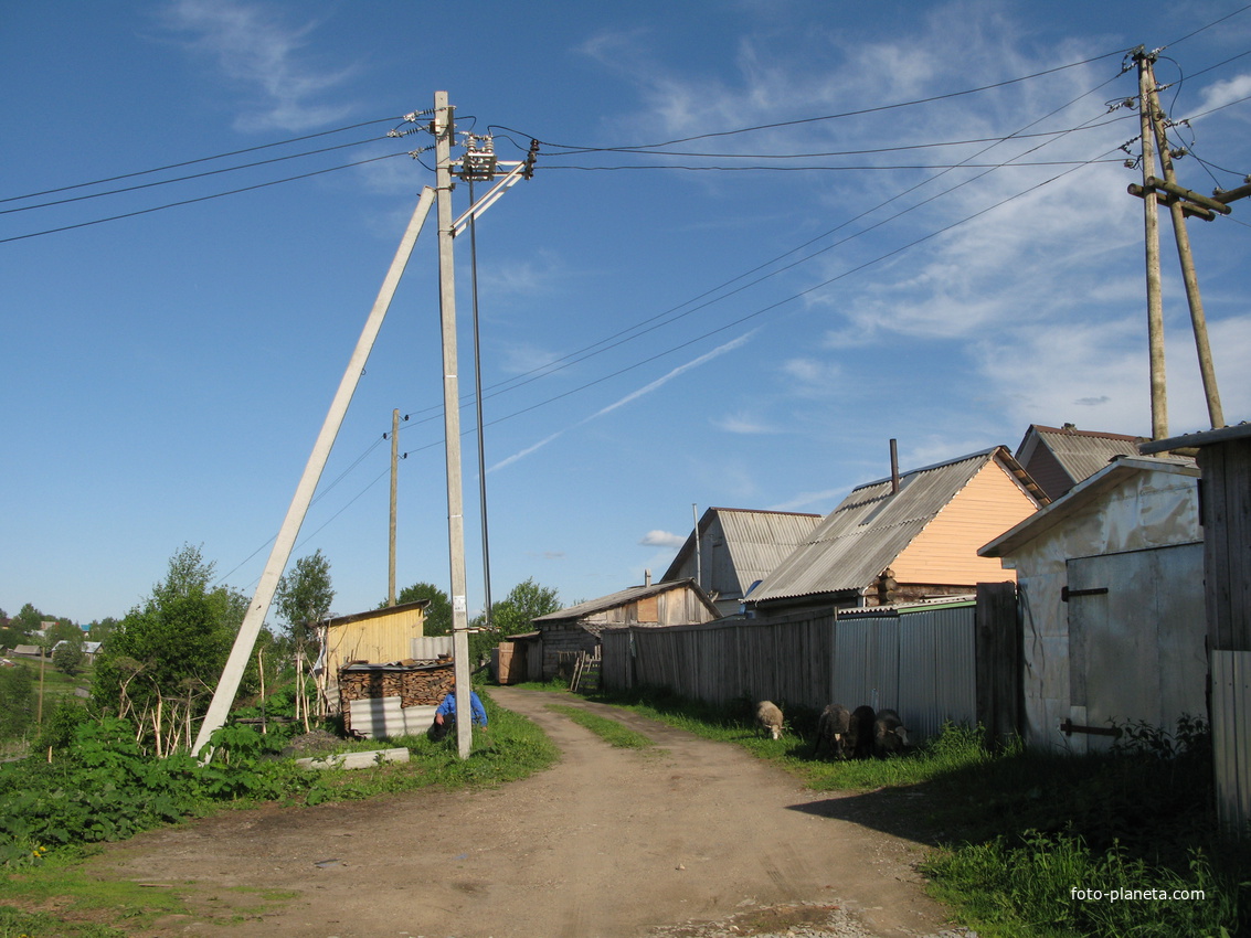 Выльгорт 2014