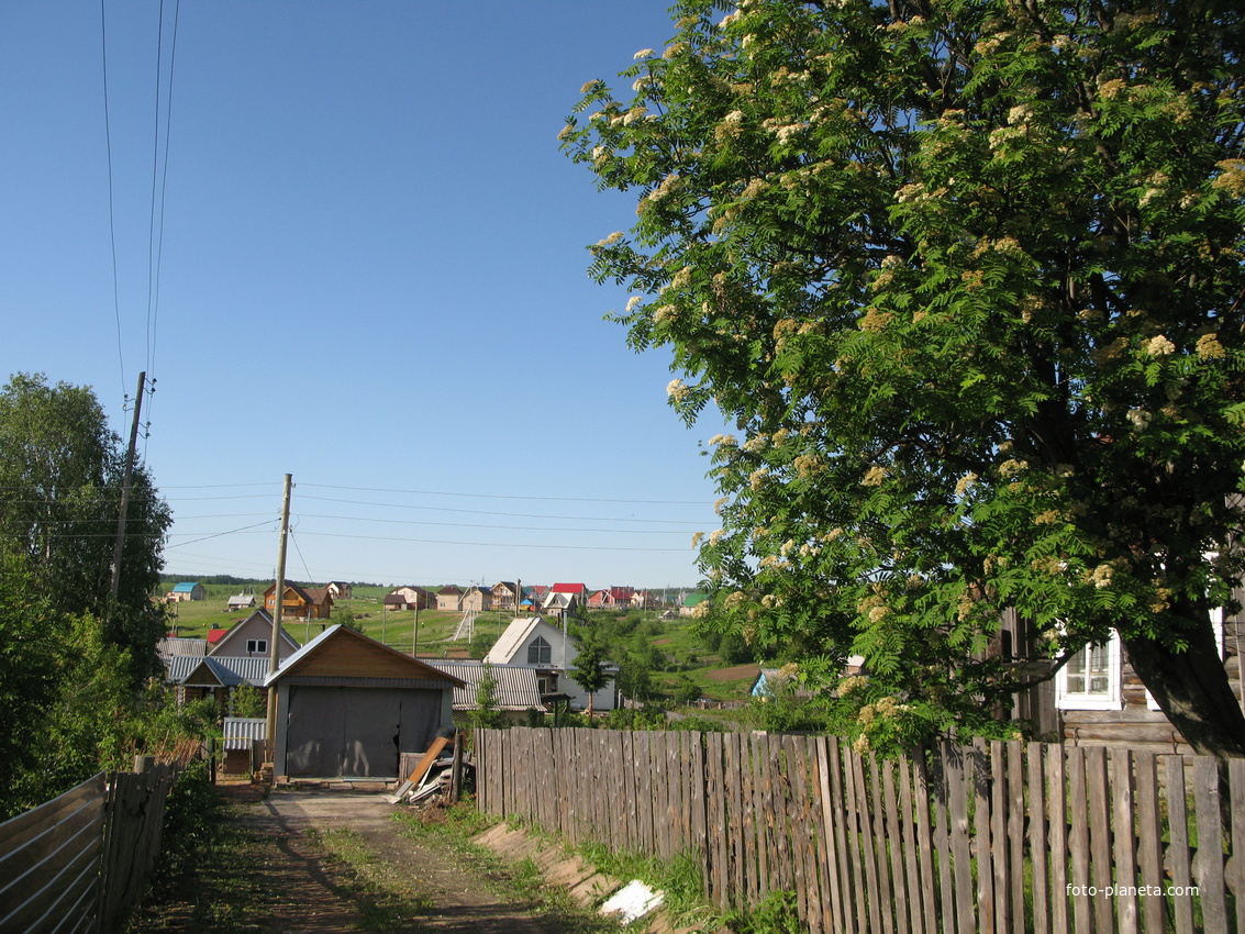 Выльгорт 2014