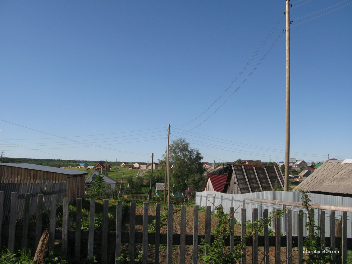 Выльгорт 2014