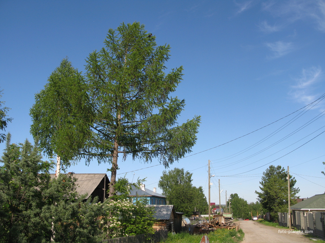 Выльгорт 2014