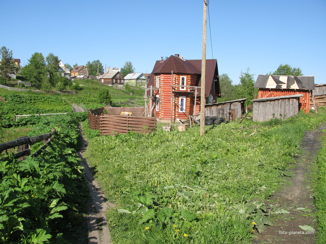 Выльгорт 2014