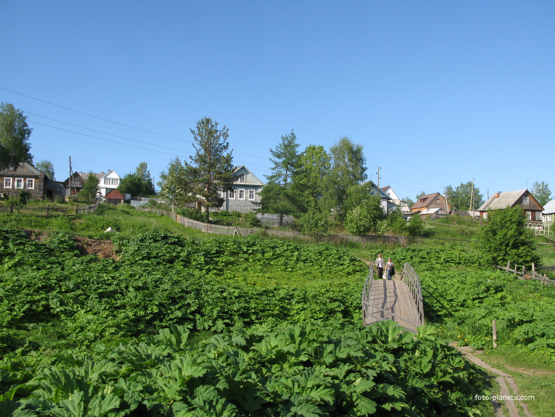 Выльгорт 2014